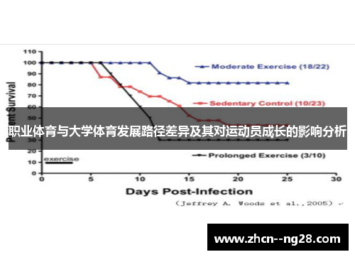 职业体育与大学体育发展路径差异及其对运动员成长的影响分析