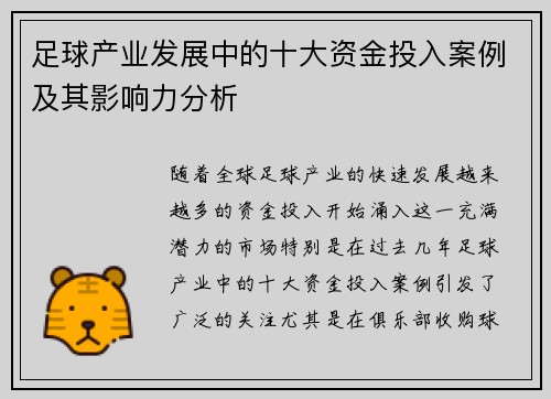 足球产业发展中的十大资金投入案例及其影响力分析 足球产业发展中的十大资金投入案例及其影响力分析