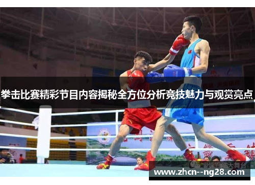 拳击比赛精彩节目内容揭秘全方位分析竞技魅力与观赏亮点